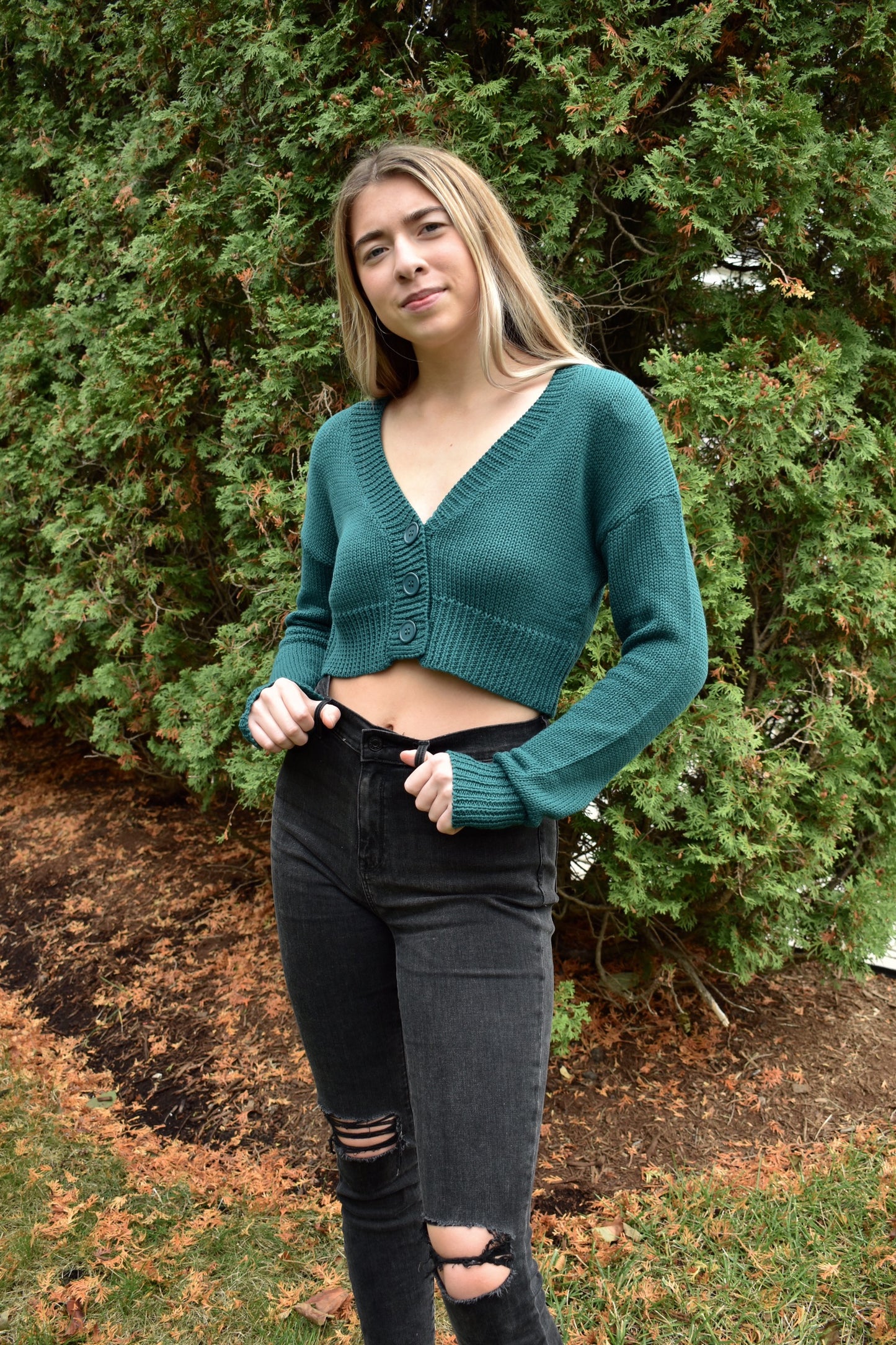 noelle sweater